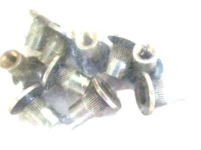 GM 10282920 Nut-Luggage Carrier