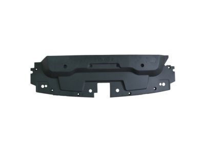 GM 22737380 Sight Shield