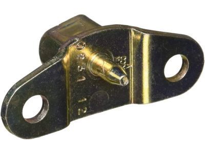 GM 20824306 Hinge