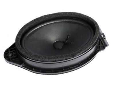 GM 20940035 Front Door Speaker