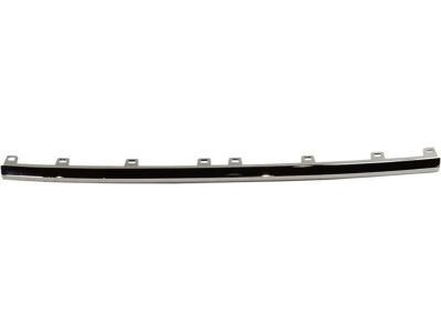 GM 84255081 Lower Molding