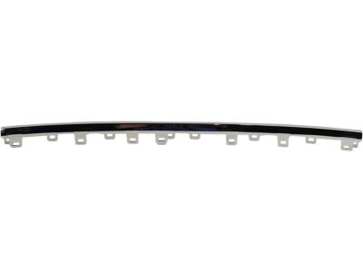 GM 84255081 Lower Molding