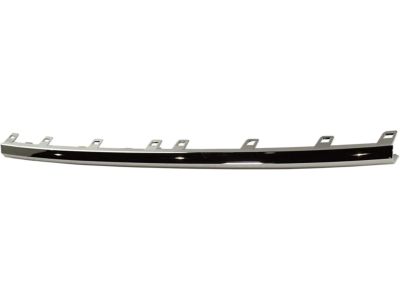 GM 84255081 Lower Molding