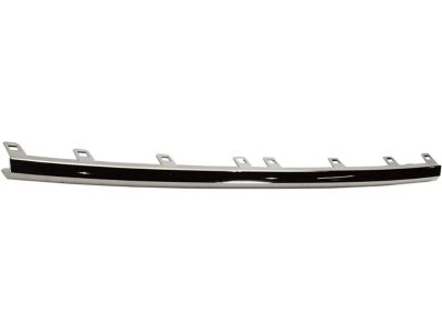GM 84255081 Lower Molding