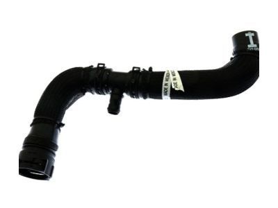 GM 20896267 Lower Hose