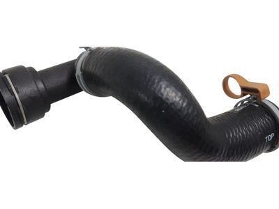 GM 95971215 Lower Hose