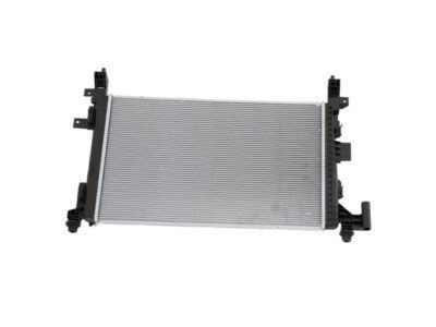 GM 42566071 Radiator Assembly