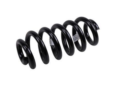 GM 23104463 Coil Spring