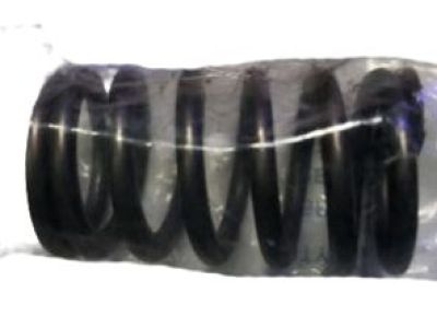 GM 12596078 Valve Springs