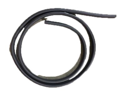 GM 15169859 Weatherstrip Asm-Lift Gate *Black T