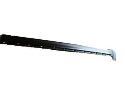 GM 19259496 Side Molding