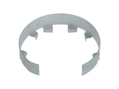 GM 15769308 Lock Cover Retainer