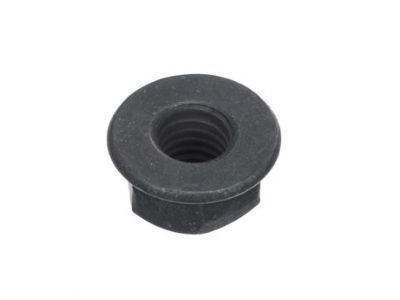 GM 11546365 Buckle Nut