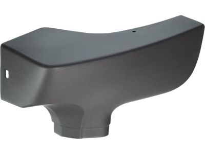 GM 15769302 Front Molding