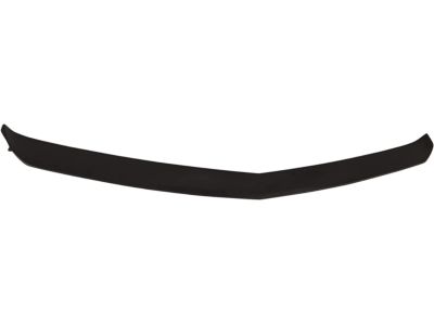 GM 84219090 Upper Molding