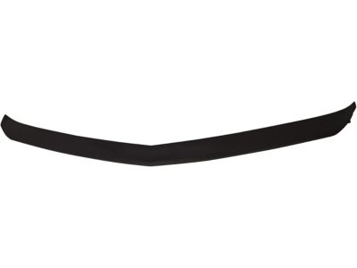 GM 84219090 Upper Molding