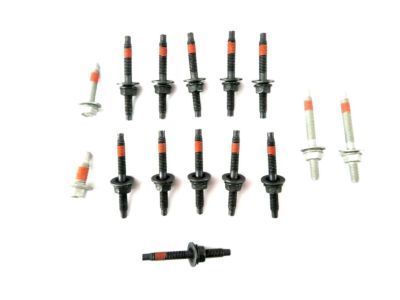 GM 17113523 Bolt/Screw Kit, Intake Manifold
