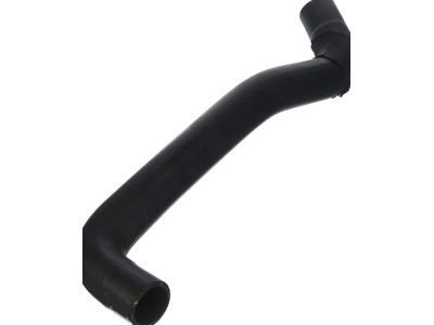 GM 19258620 Upper Hose