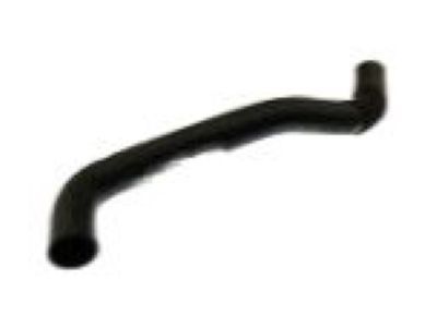 GM 19258620 Upper Hose