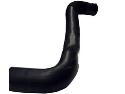 GM 19258620 Upper Hose