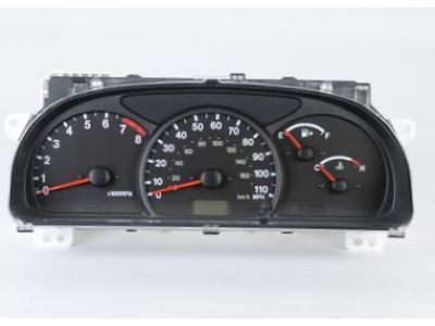 GM 30027874 Speedometer Instrument Cluster (On Esn)