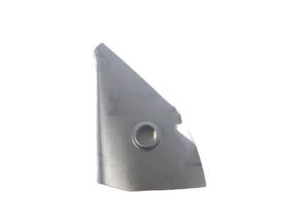 GM 96475145 Cover, Outside Rear View Mirror Housing Opening