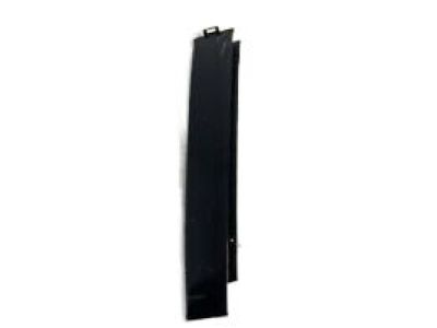 GM 21995390 Applique Asm-Front Side Door Window Frame Rear