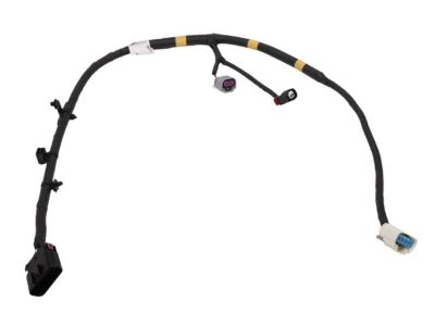 GM 20862564 Harness