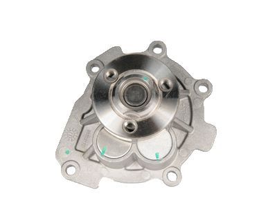 GM 25195119 Water Pump Assembly