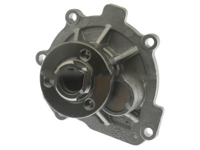 GM 25195119 Water Pump Assembly