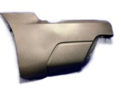 GM 15082064 Side Molding