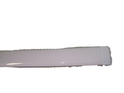 GM 25991894 Body Side Molding