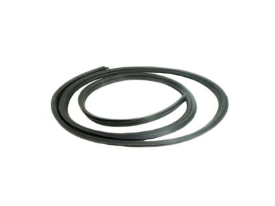 GM 15772338 Weatherstrip