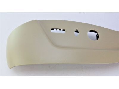 GM 20952808 Side Trim