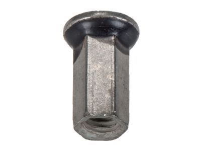 GM 11518684 Side Rail Nut