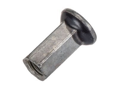 GM 11518684 Side Rail Nut