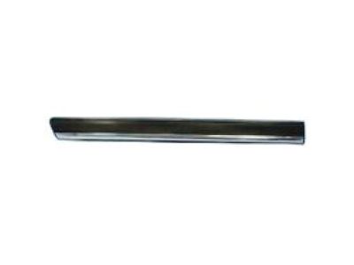 GM 15199304 Body Side Molding