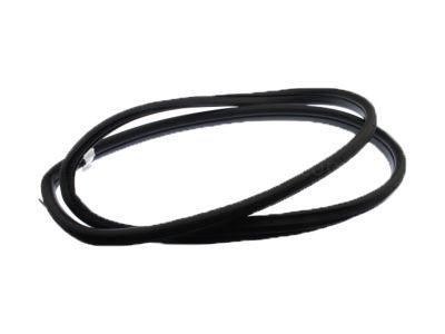 GM 92253114 Weatherstrip On Body