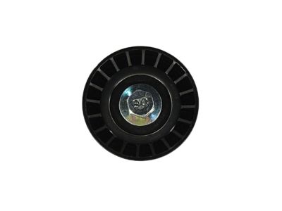 GM 25191263 Idler Pulley