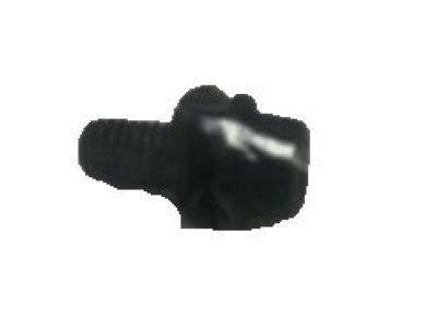 GM 24503961 Pulley Bolt