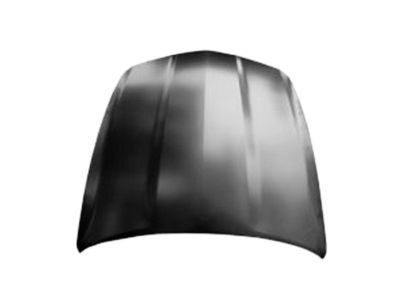 GM 84076717 Hood
