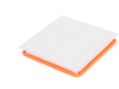 GM 22971580 Air Filter