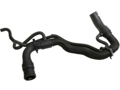 GM 19258629 Lower Hose