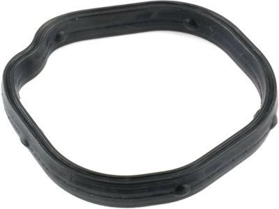GM 55562045 Water Outlet Seal