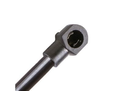 GM 15851687 Strut