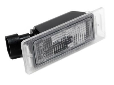 GM 13502179 License Lamp