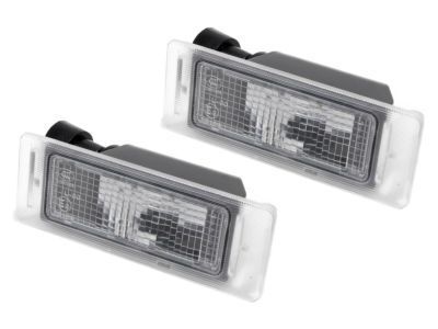 GM 13502179 License Lamp