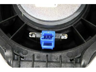 GM 23418091 Rear Door Speaker