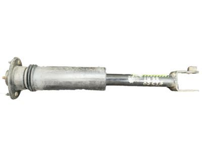 GM 25770612 Shock Absorber