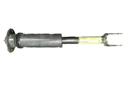 GM 25770612 Shock Absorber